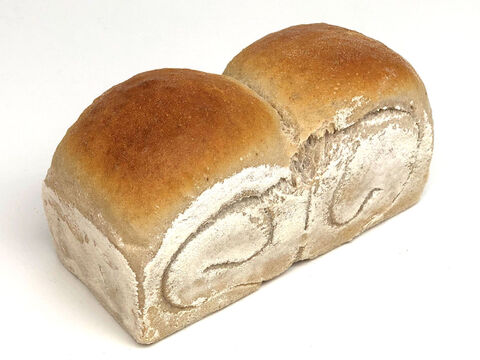 全部有機！Singleパン⑩：麦の栽培から一貫生産　自然栽培有機小麦のみ使用した有機JAS対応パンドミー2個