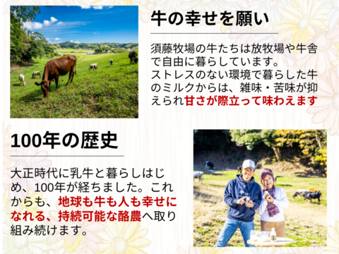お試しセット！牛乳150ml×2本、飲むヨーグルト100ml×2本、モッツァレラチーズ100g×1個