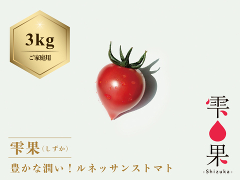 豊かな潤い！ルネッサンストマト「雫果（しずか）」（ご家庭用・3kg）