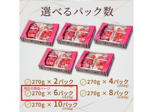 いちごの王様！あまおう苺 人気サイズ 270g×6パック デラックス等級【冬ギフト】