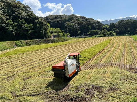 【令和7年度産　山の水で育った】　高知県香南市産コシヒカリ　精米5Kg×1袋