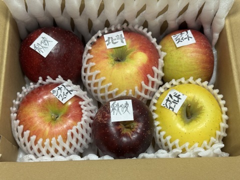 信州りんご🍎小玉約1.8キロ(10～15個)