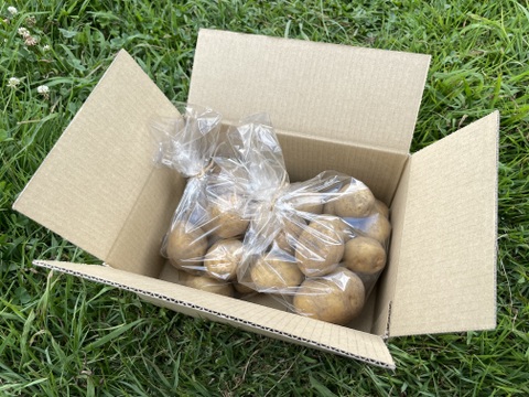 訳ありお買い得！山育ちジャガイモ『きたあかり』2kg◎農薬化学肥料不使用