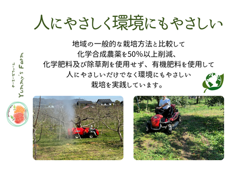 もぎたて 即日発送 りんご サンふじ 訳あり 家庭用 3kg 長野県産 信州りんご発祥の地 産地直送 除草剤不使用 人にやさしく環境にもやさしい