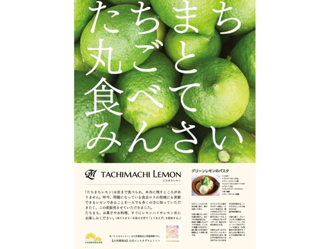 食べてみんさい！広島特別栽培レモン◆農薬不使用◆1.2㎏