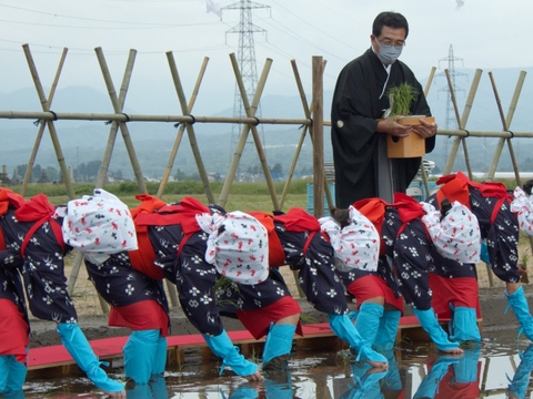 【初出品特別価格】R7新米｜皇室献上｜富山県産こしひかり27kg精米