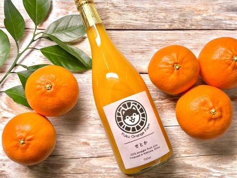 【注いだら最後、止まらない】せとかジュース｜愛媛・西宇和産