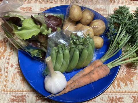 旬べじ詰め合わせ（少量希望の方におすすめです）