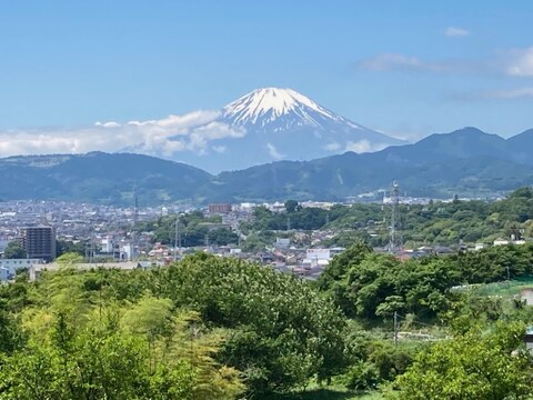 甘くて生食におすすめ！赤玉ねぎケルたまルビー2kg(5〜10個入）