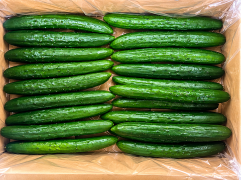 埼玉県深谷市産 プレミアムきゅうり 2kg