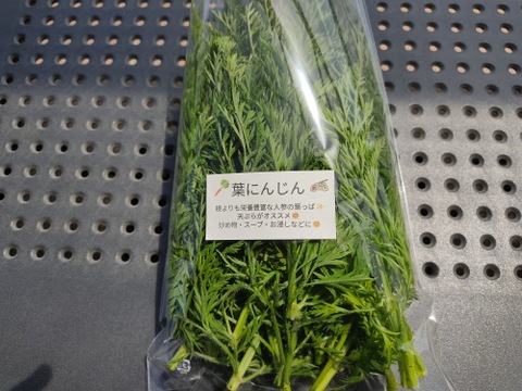 🥬甘み×香り！絹さやエンドウ約80g＆葉ニンジン約400gセット｜炒めて絶品副菜｜農薬・化成肥料不使用🥬