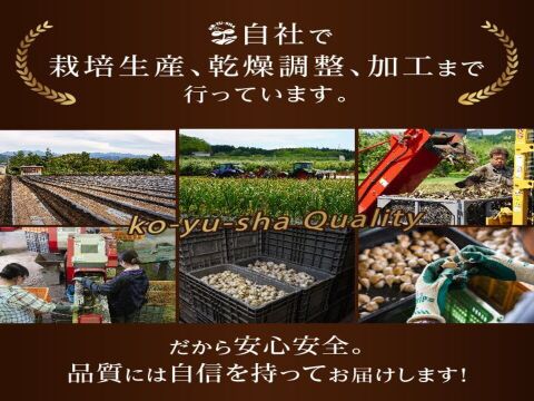 【1袋からお好きな数量を】乾燥にんにくパウダー　50ｇ×3袋