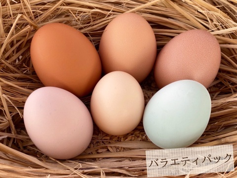 お中元【平飼い卵 2パック+レモンケーキ】223EGG 夏ギフト