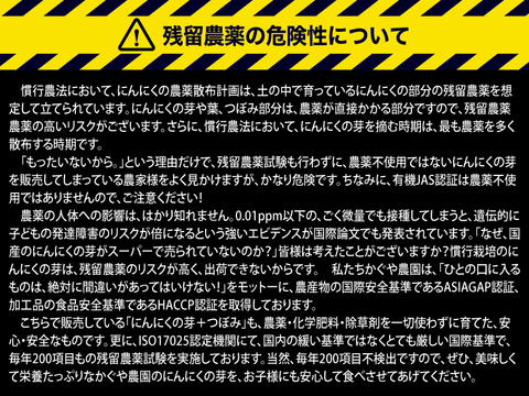 【予約限定】青森県産！農薬不使用のにんにくの芽＋つぼみ 約３キロ【令和６年新物！】