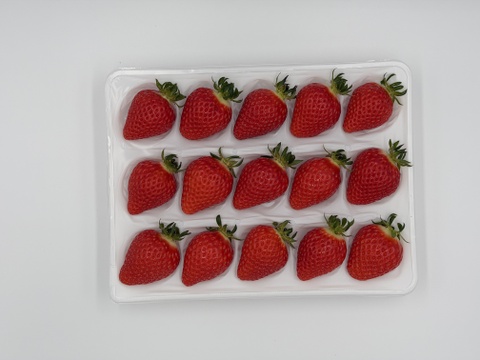 【予約販売】完熟べにたま　12-15粒