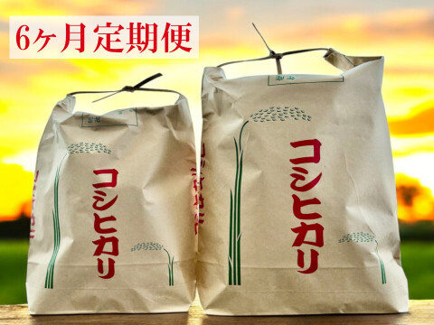 アルミ包装 令和6年兵庫県丹波市産新米コシヒカリ 精米 2kg×5袋 令和7年新米】定期便 （4.5kg×6ヶ月）先行予約受付中 兵庫県丹波