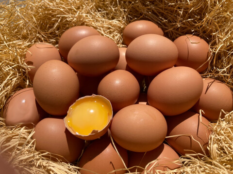 【採れたて新鮮たまご】平飼い養鶏卵『Bon-TAMA』M~Lサイズ・20個入り