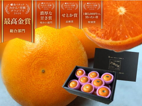 🏆みかん柑橘グランプリ2026最高金賞含む最多４部門受賞の木熟せとか！大感動！樹上完熟させた濃厚な甘みの大トロせとか！とろける甘さと上品な味わい！「木熟せとか」厳選プレミアム　約２．８ｋｇ【402】