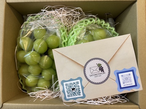 甘くてスッキリ【長野県産 シャインマスカット】900g～1kg