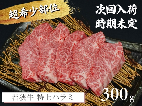 【数量限定】若狭牛 特上ハラミ 300g