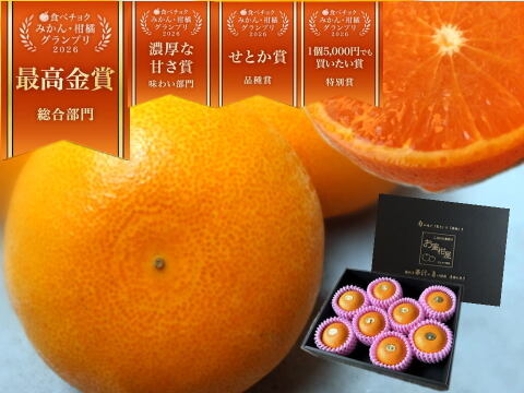 🏆みかん柑橘グランプリ2026最高金賞含む最多４部門受賞の木熟せとか！大感動！樹上完熟させた濃厚な甘みの大トロせとか！とろける甘さと上品な味わい！「木熟せとか」厳選プレミアム　約１ｋｇ【400】