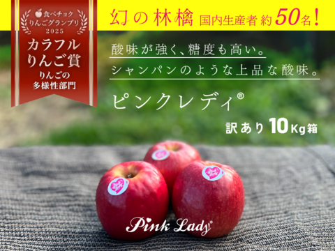 【ヒルナンデスでました！】ピンクレディ®︎ 10キロ訳あり品 加工用にご利用ください！長野県 信州 安曇野 リンゴ 幻 幻のリンゴ 予約 希少 旬 ID62476 ピンクレディー