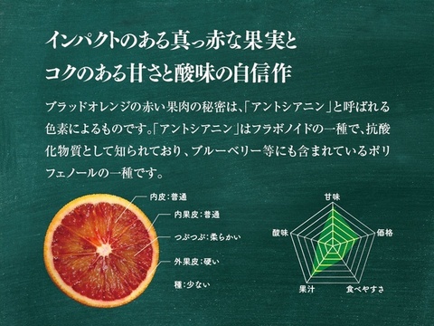 【訳あり】星乃ブラッドオレンジ 木成り完熟 愛媛産 4kg
