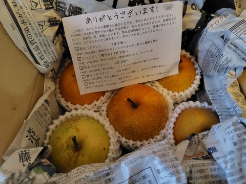 【静岡県産】志太梨（ご自宅用バラ1.5kg前後）