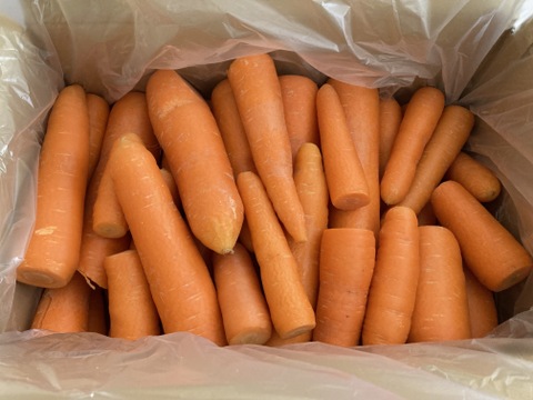【冬のわけありにんじん】クリスティーヌ「9.0kg」【お買い得にんじん】