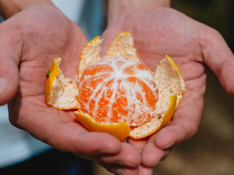 愛媛みかんの老舗厳選【濃厚な甘みと程よい酸味】みかん 3.5kg【愛媛県川上産】【冬ギフト】