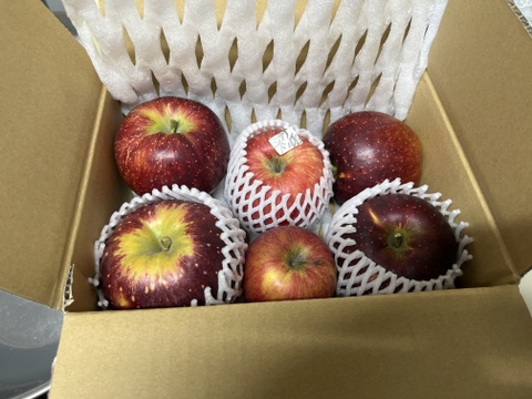 信州りんご🍎少量約1.5キロ(6～8個)