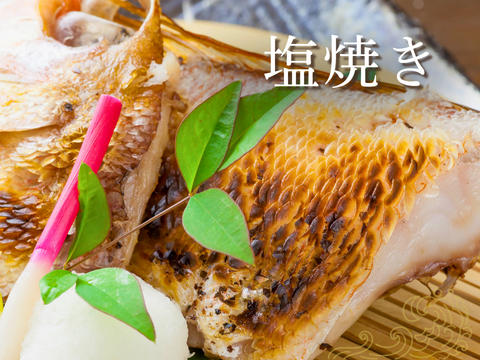 【家庭料理に】ふっくらやさしい甘みの甘鯛（３kg）