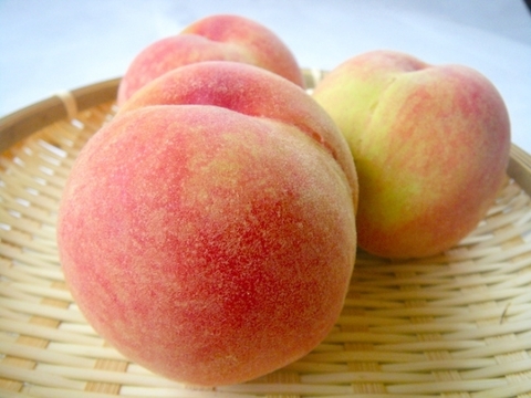 大きくて硬い桃　【おどろき】　3kg　8～14玉　8月下旬　希少な桃　収穫した日に発送　家庭用　農家直送