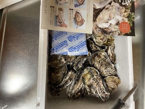 サロマ湖産✨殻付き牡蠣❗️大サイズ‼️3キロ‼️牡蠣ナイフ、剥き方パンフレット付き❗️