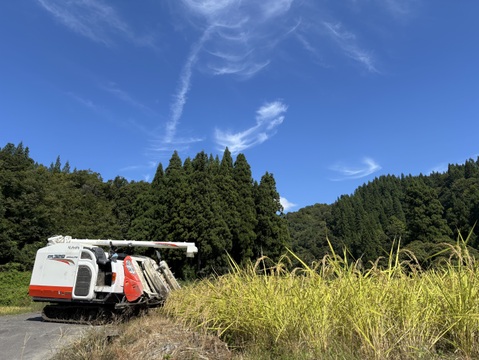 玄米  魚沼産コシヒカリ 10㎏  令和7年産  魚沼市産