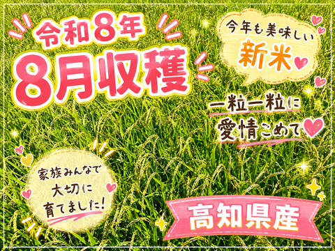 🌟40袋限定🌟令和8年8月収穫新米❣高知産コシヒカリ🌾玄米30kg✨ 節減