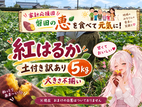 【1カ月熟成＆泥付きで長持ち！】
じっくり甘い 熟成紅はるか（ご家庭用・訳あり5㎏）