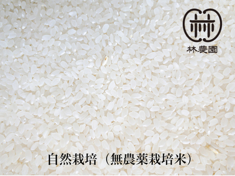 農薬不使用栽培・ヒノヒカリ白米10ｋｇ（令和5年10月収穫・未検査米）