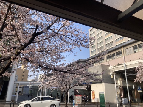 【新規のみ】4周年&祝🎊合格記念