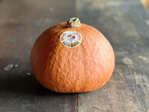 【先行予約】幻の奥会津 金山赤カボチャ『合格お任せ』3kg