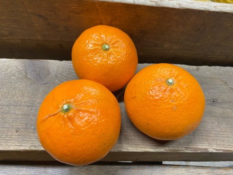 せとか3k小玉混合