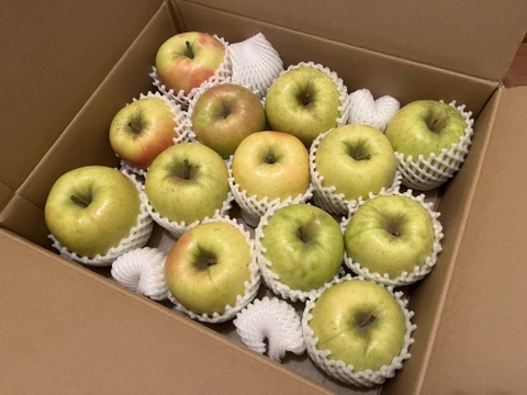 販売中！】青森県産りんご「ぐんま名月」家庭用 キズ有 約5kg 【光