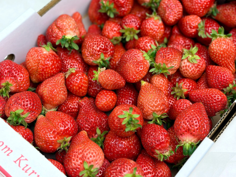 【バラ詰め】完熟あまおう２kg ジャムなどの加工用