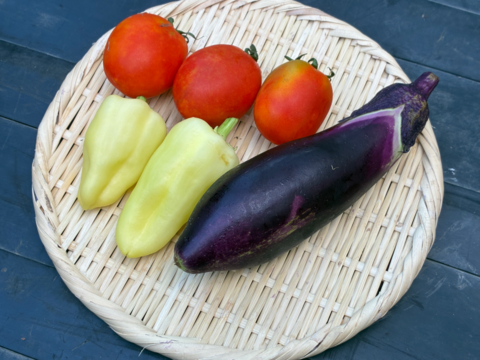 【土曜出荷：出荷先制限】『夏野菜セット(小)』 (調理トマト10個+ピーマン10個+ナス5本)