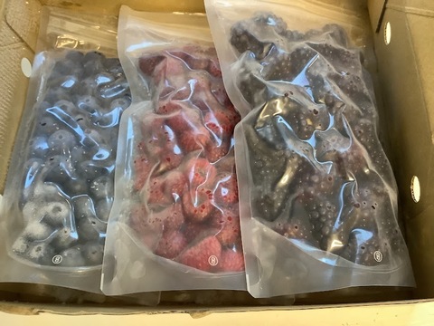 【3種冷凍ミックスベリーセット】冷凍ブルーベリー(300g)、冷凍ウルトララズベリー(250g)、冷凍ブラックベリー(300g)の欲張りセット！