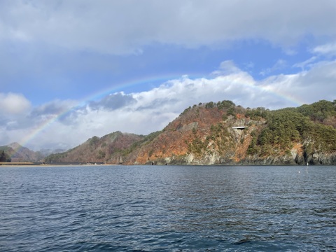 【北三陸田野畑産】　茹で水タコ　足約1kg