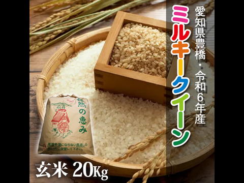 【節減対象農薬6割減】ミルキークイーン 玄米20g（10㎏×2袋）【令和6年・愛知県産】