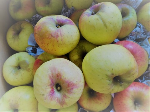 ぐんま名月家庭用（５㎏）
果汁たっぷり際立つ甘さ、信州長野県産りんご
形やキズ、大きさなどで贈答用になれなかったりんごたち
 バラ詰めでたっぷりお届け