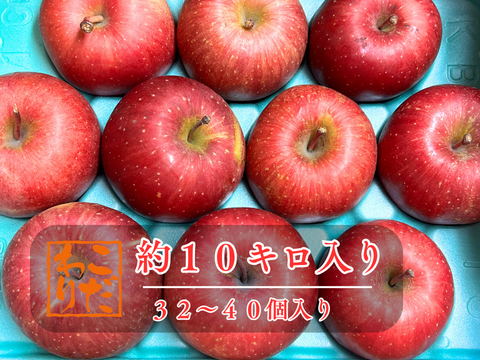 【500円割引中】りんご サンふじ 10kg パリパリ まるで採れたて 36個入り ふじ 10kg 秋田 りんご  フルーツ 父の日 ギフト アップル  おやつ デザート 家庭