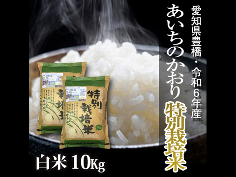 【栽培期間中農薬不使用】あいちのかおり 白米10kg（5kg×2袋）【令和6年・愛知県産】